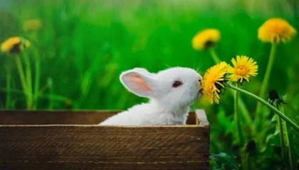 开云首页登录-新闻中心推动数字化转型升级，数字化转型 新闻