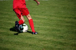 开云电竞app-意甲青训体系中融入情绪调节训练的效果评估，意甲青训体系中融入情绪调节训练的效果评估